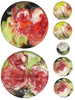 Floral decorative Wall Plates