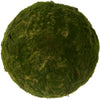 Moss Ball