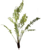 Single Fern in Earth Frond