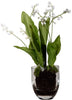 Lily of the Valley with Soil in Glass Vase