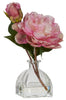 Peony in Glass Vase