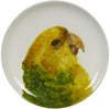 Parrot Decorative Plates