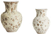 Coral Vases